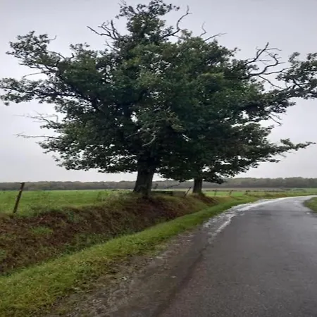 Casa vacanze Peaceful Garden Hideaway